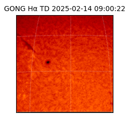gong - 2025-02-14T09:00:22