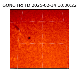 gong - 2025-02-14T10:00:22