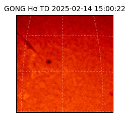 gong - 2025-02-14T15:00:22