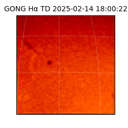 gong - 2025-02-14T18:00:22
