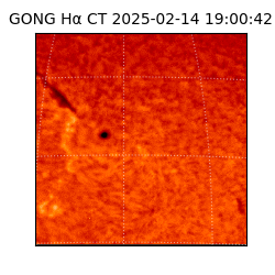 gong - 2025-02-14T19:00:42