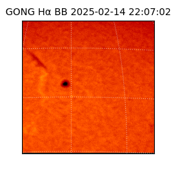 gong - 2025-02-14T22:07:02