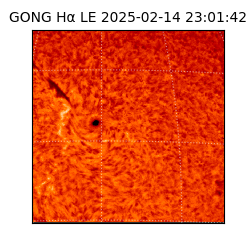 gong - 2025-02-14T23:01:42