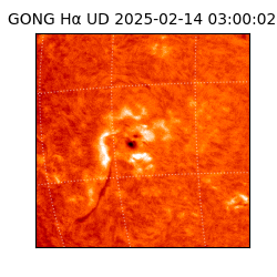 gong - 2025-02-14T03:00:02