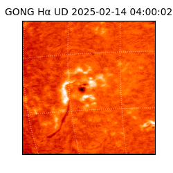 gong - 2025-02-14T04:00:02