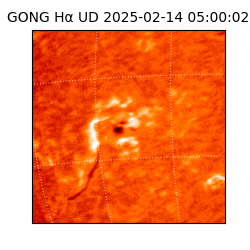 gong - 2025-02-14T05:00:02