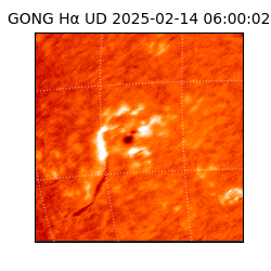 gong - 2025-02-14T06:00:02