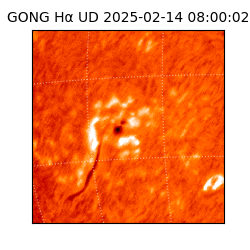 gong - 2025-02-14T08:00:02