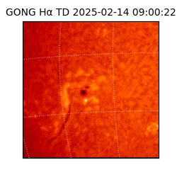 gong - 2025-02-14T09:00:22