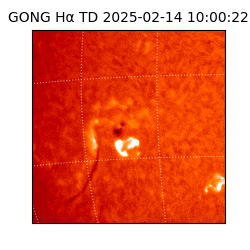 gong - 2025-02-14T10:00:22