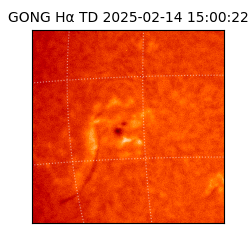 gong - 2025-02-14T15:00:22