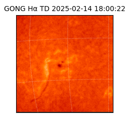 gong - 2025-02-14T18:00:22