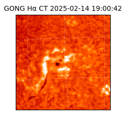 gong - 2025-02-14T19:00:42