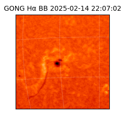 gong - 2025-02-14T22:07:02