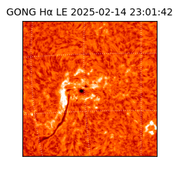 gong - 2025-02-14T23:01:42