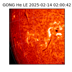 gong - 2025-02-14T02:00:42