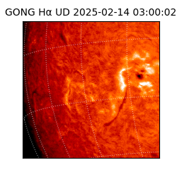 gong - 2025-02-14T03:00:02