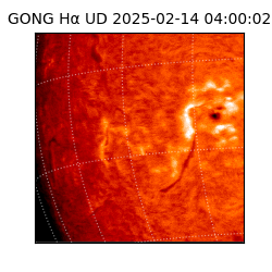 gong - 2025-02-14T04:00:02