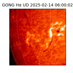 gong - 2025-02-14T06:00:02