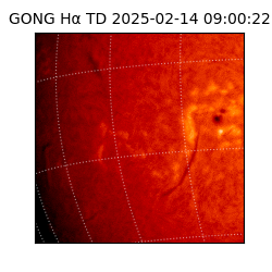 gong - 2025-02-14T09:00:22
