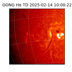 gong - 2025-02-14T10:00:22