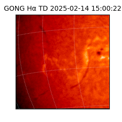 gong - 2025-02-14T15:00:22