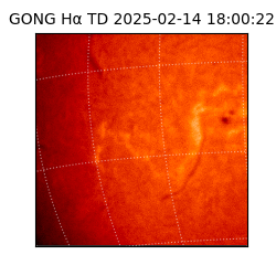 gong - 2025-02-14T18:00:22
