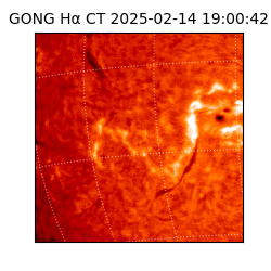 gong - 2025-02-14T19:00:42