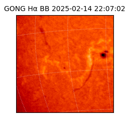 gong - 2025-02-14T22:07:02