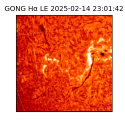 gong - 2025-02-14T23:01:42