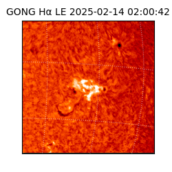 gong - 2025-02-14T02:00:42