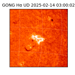 gong - 2025-02-14T03:00:02