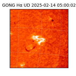 gong - 2025-02-14T05:00:02