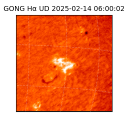 gong - 2025-02-14T06:00:02