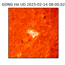 gong - 2025-02-14T08:00:02