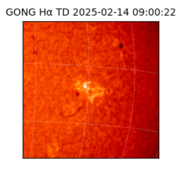 gong - 2025-02-14T09:00:22