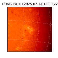 gong - 2025-02-14T18:00:22