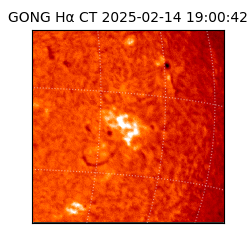 gong - 2025-02-14T19:00:42