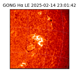 gong - 2025-02-14T23:01:42