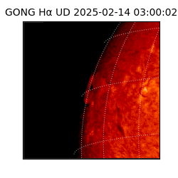 gong - 2025-02-14T03:00:02