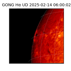 gong - 2025-02-14T06:00:02