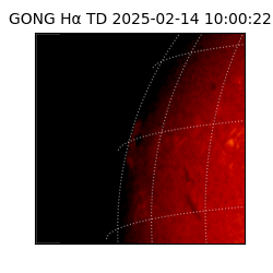 gong - 2025-02-14T10:00:22