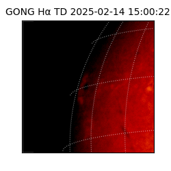 gong - 2025-02-14T15:00:22