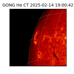 gong - 2025-02-14T19:00:42