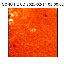 gong - 2025-02-14T03:00:02
