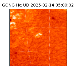 gong - 2025-02-14T05:00:02