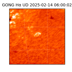 gong - 2025-02-14T06:00:02