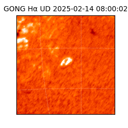 gong - 2025-02-14T08:00:02