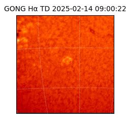 gong - 2025-02-14T09:00:22