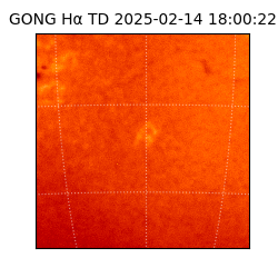 gong - 2025-02-14T18:00:22